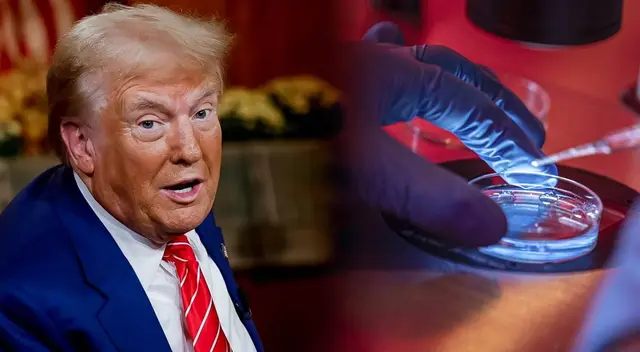 Esta fue la declaración de Donald Trump sobre la fecundación in vitro. Esta fue la declaración de Donald Trump sobre la fecundación in vitro.