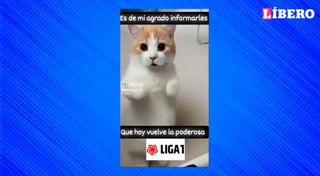 La Liga 1 regresó y se podría conocer al nuevo campeón nacional. La Liga 1 regresó y se podría conocer al nuevo campeón nacional.