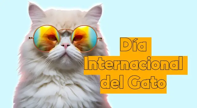 Celebra a tu adorable felino este 29 de octubre en el Día Internacional del Gato. Celebra a tu adorable felino este 29 de octubre en el Día Internacional del Gato.