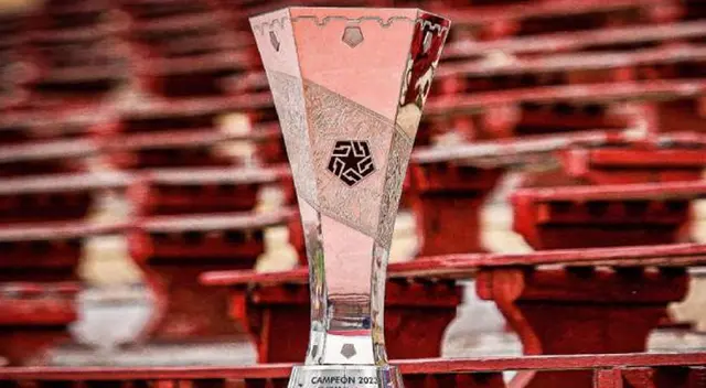 Importante equipo del fútbol peruano ascendería a la Liga 1 2025. Importante equipo del fútbol peruano ascendería a la Liga 1 2025.