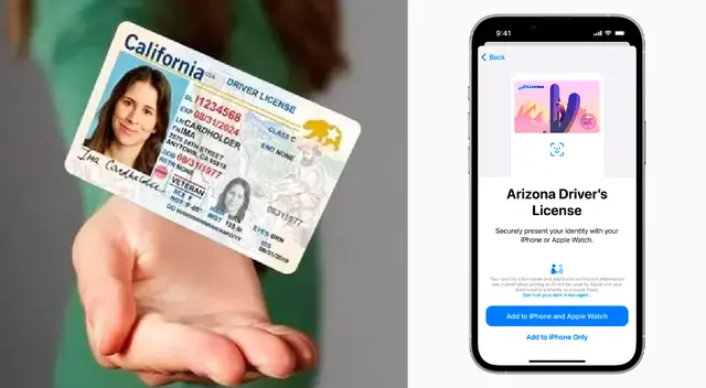 Estos son los siete estados en los que puedes llevar tu Real ID en tu apple Wallet. Estos son los siete estados en los que puedes llevar tu Real ID en tu apple Wallet.