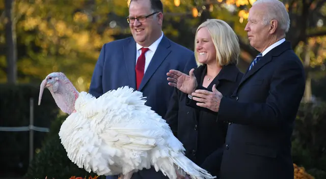La curiosa tradición del perdón del pavo, que se celebra en el Día de Acción de Gracias, tiene sus raíces en la presidencia de Abraham Lincoln, cuando su hijo Tad lo solicitó.