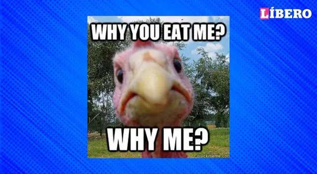 El pavo: el único animal que comes antes de darle las gracias. El pavo: el único animal que comes antes de darle las gracias.