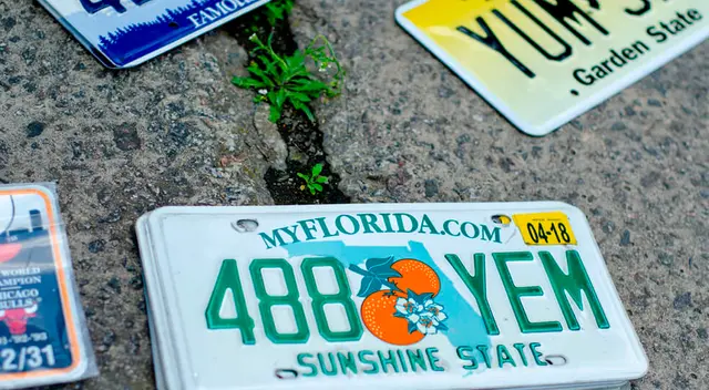 El Departamento de Vehículos Motorizados (DMV) prohibe el uso de placas modificadas en Florida.