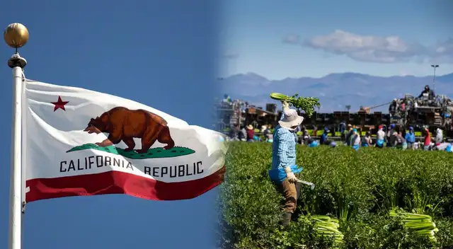 Los trabajadores de California gozarán de condiciones laborales más justas.