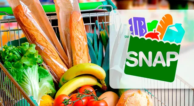 El Programa Federal de Asistencia Nutricional Suplementaria (SNAP) es vital para los hogares con bajos ingresos en EE.UU., facilitando la compra de alimentos a través de beneficios electrónicos.