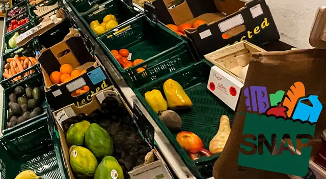 El Departamento de Servicios Humanos de Oregón reportó una tasa de error del 16.7% en el programa de asistencia nutricional SNAP. El Departamento de Servicios Humanos de Oregón reportó una tasa de error del 16.7% en el programa de asistencia nutricional SNAP.