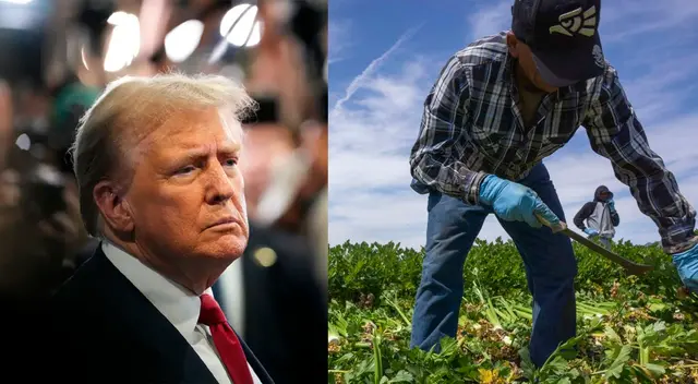 Defensores de la inmigración y organizaciones agrícolas buscan reformas laborales que ofrezcan estatus legal permanente a trabajadores H-2A.