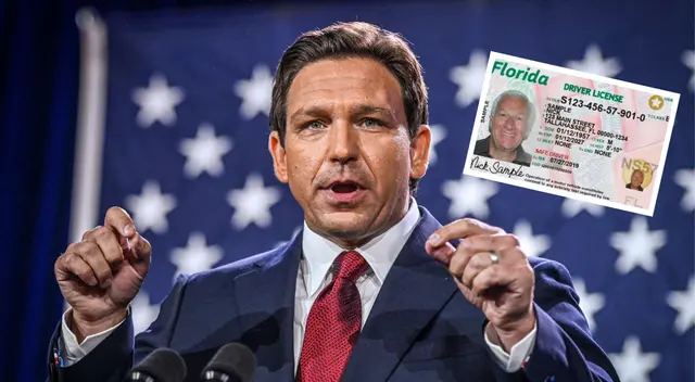 Conoce los requisitos que debes conocer para la Licencia Universal en Florida. Conoce los requisitos que debes conocer para la Licencia Universal en Florida.