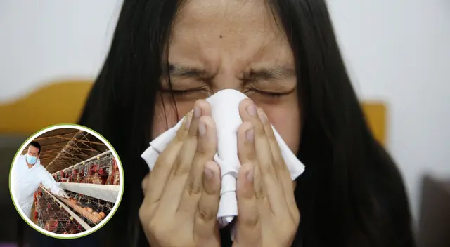 Gripe mortal amenaza con propagarse y causar devastación.