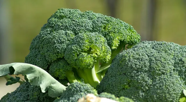 FDA sube alerta por riesgos mortales para la salud.