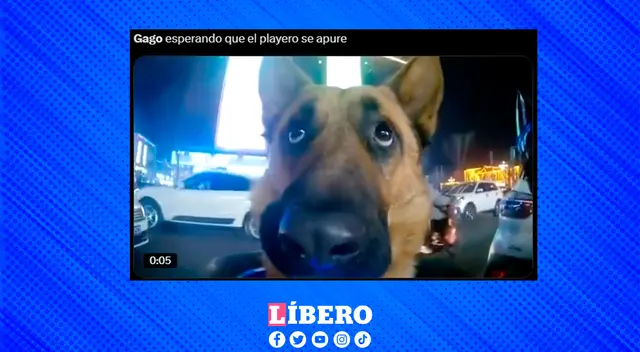 DT de Boca Juniors se vuelve viral por el partido en Matute.