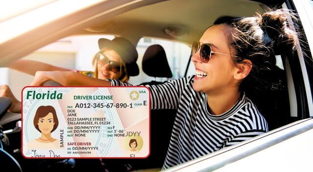 Licencia de conducir ICE Licencia de conducir ICE