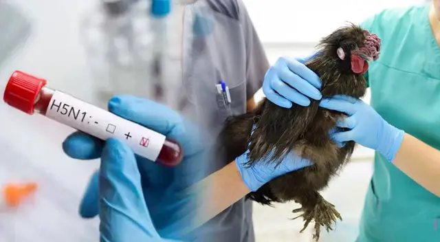 Ante el riesgo de acaparamiento, algunos agricultores limitan la compra de huevos.