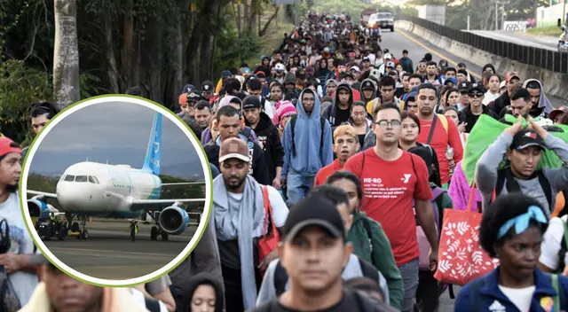 Estos estados serán el epicentro de las deportaciones masivas en EE.UU.