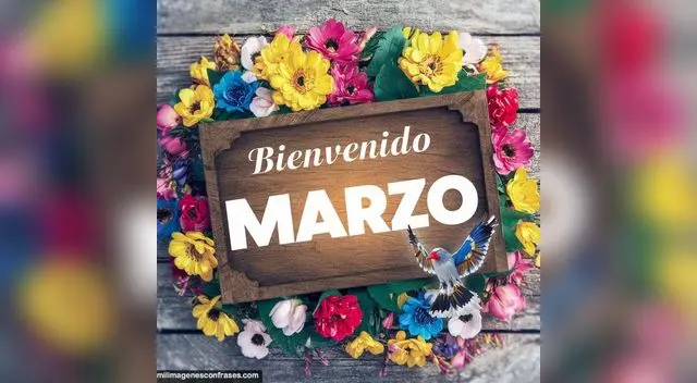 Bienvenido, marzo: revisa las mejores imágenes para la ocasión