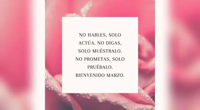 Feliz inicio de marzo: revisa las mejores frases para el mes