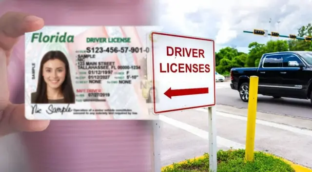 El Departamento de Seguridad Vial alerta sobre licencias de cinco estados con restricciones, que no serán aceptadas en Florida.