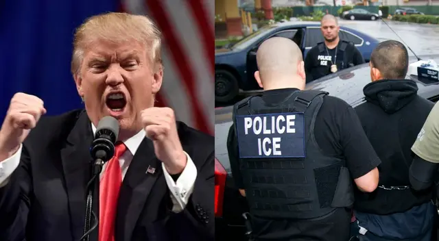 Este estudio explica detalladamente si los planes de Trump en materia de deportación masiva se alinean con sus ideales.