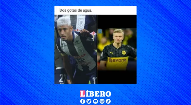 El cambio de look de D' Arrigo generó divertidos memes entre los íntimos. El cambio de look de D' Arrigo generó divertidos memes entre los íntimos.
