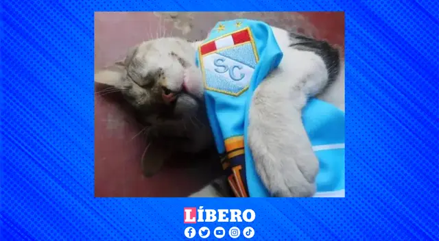 Cristal es uno de los equipos peruanos que clasificó de forma directa a Fase de Grupos de la Copa Libertadores.