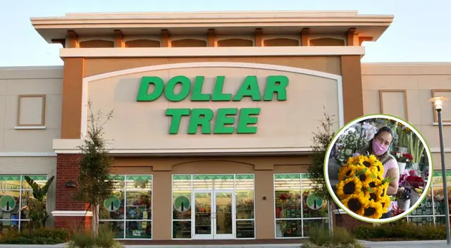 Dollar Tree tiene estos productos primaverales a precios imbatibles vs. Walmart.