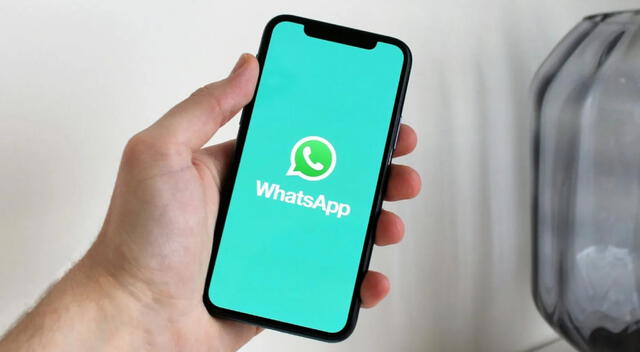 WhatsApp WhatsApp