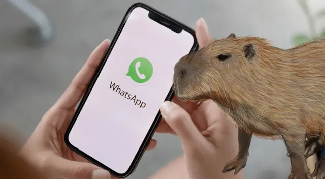 El animal de moda ha llegado a WhatsApp para dale un aspecto divertido a nuestra aplicación de mensajería.