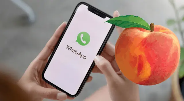 Para activar este modo en WhatsApp necesitaremos recurrir a aplicaciones de terceros 100 por ciento legales.