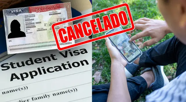 Las autoridades consulares en el extranjero deben verificar los perfiles digitales. Las autoridades consulares en el extranjero deben verificar los perfiles digitales.