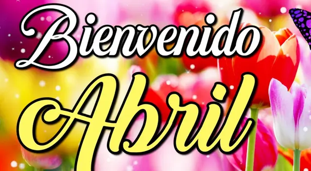 Estos son los mejores mensajes y bonitas frases para darle bienvenida a abril. Estos son los mejores mensajes y bonitas frases para darle bienvenida a abril.