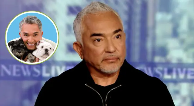 El 'encantador de perros' vuelve a ser noticia en EE. UU.