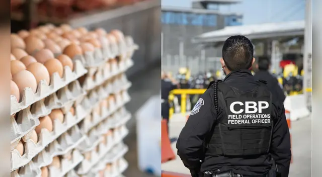 Según el CBP, artículos como jaulas de pájaros sucias o cartones de huevos usados pueden propagar enfermedades.
