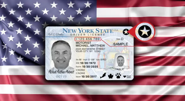 El proceso para obtener una REAL ID en Nueva York es presencial y requiere varios documentos. Foto: Composición Líbero/Freepik/DMV