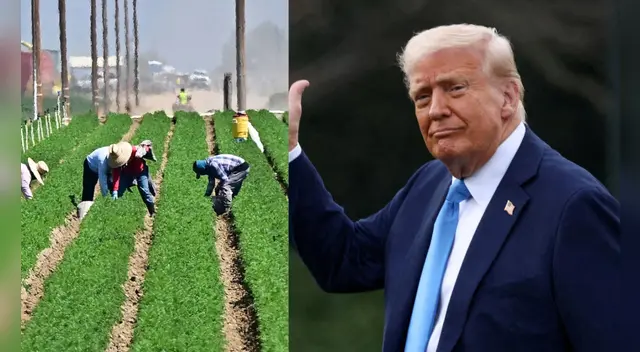 Alrededor del 68% de los 2,4 millones de trabajadores agrícolas en EE. UU. son inmigrantes, y el 36% no tiene estatus legal.
