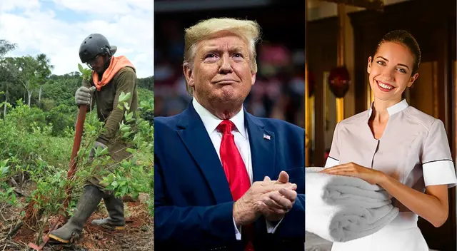 Así es como Donald Trump planea llevar a cabo esta medida que beneficia a trabajadores ilegales.