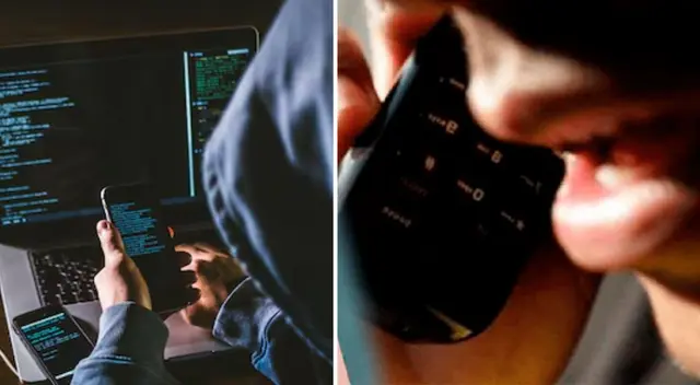 Mujer de 53 años robó millones de dólares estafando en línea en EE. UU.