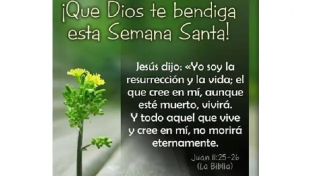 Celebra la Semana Santa: este Domingo de Ramos ha iniciado