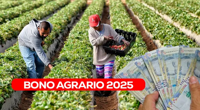 Conoce si estás registrado en el Padrón de Productores Agrarios del Midagri.