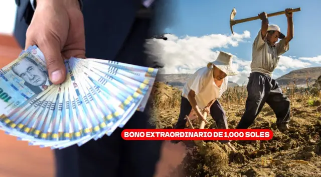 Bono 1000 soles para peruanos: revisa el acceso Bono 1000 soles para peruanos: revisa el acceso