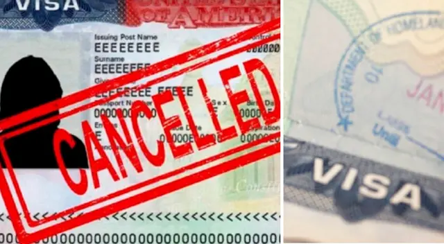EE. UU. suspende visas de estudio en estos estados, ¿qué pasará con los estudiantes?