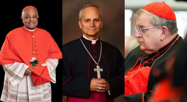 En Estados Unidos, tres figuras ganan protagonismo como posibles papables por distintos especialistas y medios. En Estados Unidos, tres figuras ganan protagonismo como posibles papables por distintos especialistas y medios.