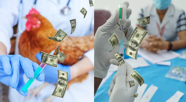 Los CDC y el estado de California lanzan un programa de pruebas de gripe aviar que ofrece tarjetas de regalo de US$25. Los CDC y el estado de California lanzan un programa de pruebas de gripe aviar que ofrece tarjetas de regalo de US$25.