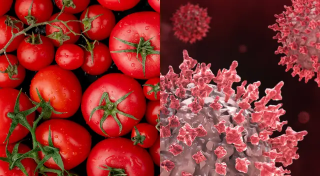 La FDA notificó a Ray & Mascari que los tomates, reenvasados en Florida, podrían contener salmonela. La FDA notificó a Ray & Mascari que los tomates, reenvasados en Florida, podrían contener salmonela.