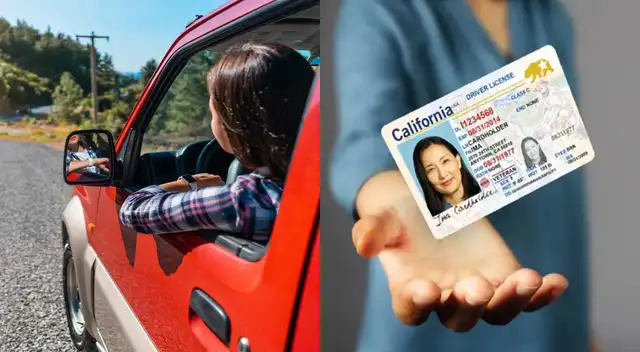 Estas otras identificaciones legales te permitirán movilizarte.