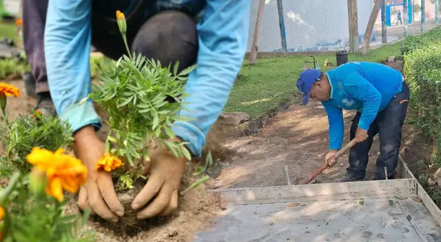 Se confirmó la mejor noticia: obra en Centro de Lima mejorará iluminación y veredas