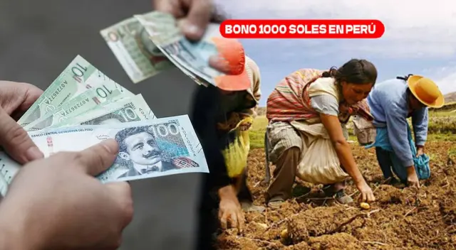 Revisa detalles de lo que es el NUEVO BONO de 1,000 soles en Perú