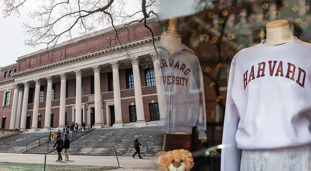 Los interesados deben tener una formación académica sobresaliente y recibir una oferta de admisión de Harvard.