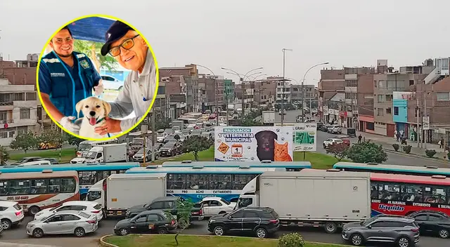La Municipalidad del distrito confirmó la primera veterinaria municipal y zona pet.