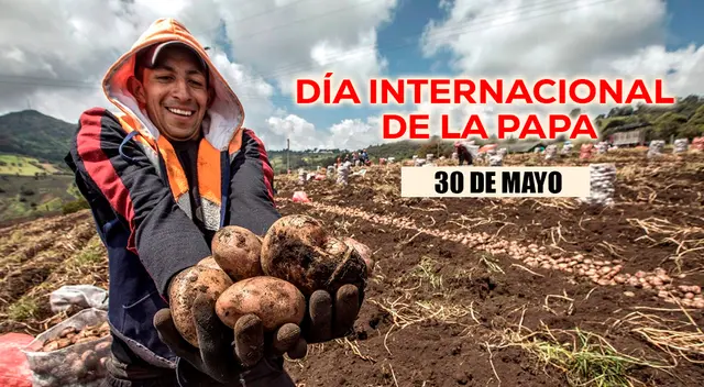 Te compartimos las mejores frases sobre el Día Internacional de la Papa para celebrar este 30 de mayo.